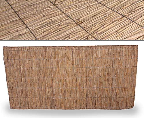 bambus-discount.com Schilfrohrplatte Usedom 100 x 200cm mit 2,5cm Materialstärke - Dicke starre Sichtschutz Schilfplatte 1m x 2m von bambus-discount.com