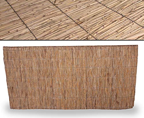bambus-discount.com Schilfrohrplatte Usedom mit 150 x 200cm mit 2,5cm - Sicht- und Windschutz aus Schilf zu 100% Blickdicht ideal für den Außenbereich von bambus-discount.com
