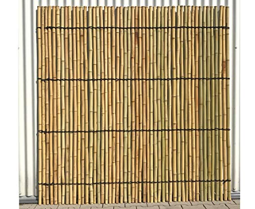 Bambus Rollzaun, Moso gelblich, verschnürt, gebleicht, 180 x 180cm, Durch. Bambusrohre 3-3,4cm von bambussi.com Bambus Rollzaun, Moso gelblich, verschnürt, gebleicht, 180 x 180cm, Durch. Bambusrohre 3-3,4cm von bambussi.com von bambussi