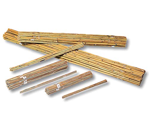 Bambus-Splittstäbe 50cm, Natur, 10 Stück von bambussi.com Bambus-Splittstäbe 50cm, Natur, 10 Stück von bambussi.com von bambussi