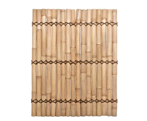 Bambus Zaun "Apas1" gelblich, starre Verschnurrrung, Druch. 6 bis 8cm, 150 x 120cm von bambussi.com von bambussi