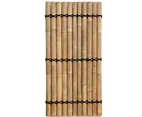 Bambus Zaun "Apas6" gelblich, starre Verschnurrrung, halbe Rohre Druch. 6 bis 8cm mit 180 x 90cm von bambussi.com Bambus Zaun "Apas6" gelblich, starre Verschnurrrung, halbe Rohre Druch. 6 bis 8cm mit 180 x 90cm von bambussi.com von bambussi