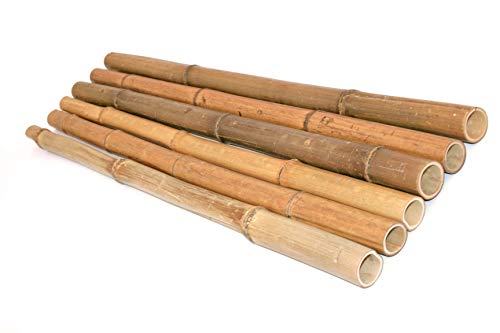Bambusrohr Madake hitzebehandelt 100cm Durch. 2,5 bis 4cm gelbbräunlich von bambussi.com von bambussi