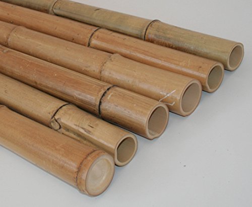 Bambusstange Natur gelbbraun 180cm Durch. 6 bis 7cm, Madake hitzebehandelt von bambussi.com von bambussi