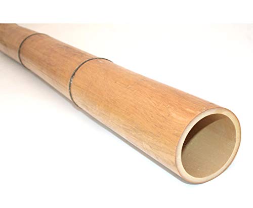 Bambusstangen gelbbraun hitzebehandelt 100cm Durch. 9 bis 10cm, Moso Natur getrocknet von bambussi.com von bambussi