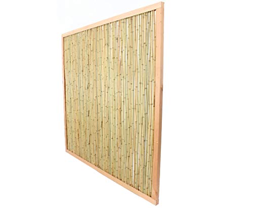Bambuszäune mit 180x180cm im Holzrahmen hell, "KohSamui 2" mit Bambusrohr Füllung von bambussi.com Bambuszäune mit 180x180cm im Holzrahmen hell, "KohSamui 2" mit Bambusrohr Füllung von bambussi.com von bambussi