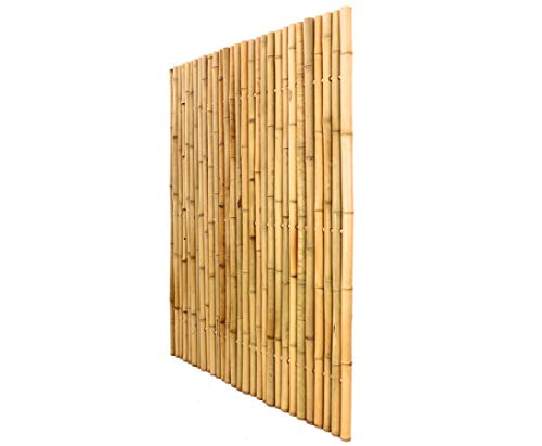 Bambuszaun, Moso gelb gebleicht, starr mittels Bambus verbunden mit 150 x120cm, Durch. 3,5-4cm von bambussi.com Bambuszaun, Moso gelb gebleicht, starr mittels Bambus verbunden mit 150 x120cm, Durch. 3,5-4cm von bambussi.com von bambussi