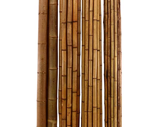 Karamellfarbenes Bambusrohr 100cm Durch. 9 bis 10cm karbonisiert von bambussi