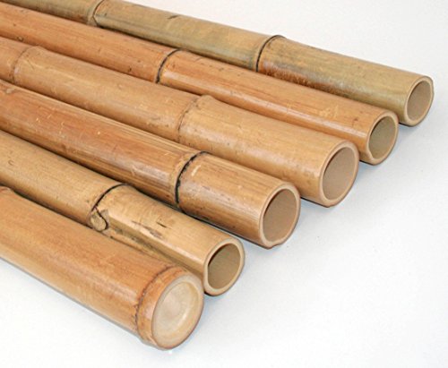 Madake Bambusrohre gelbbraun 150cm Durch. 5 bis 6cm, hitzehandelt getrocknet von bambussi.com von bambussi