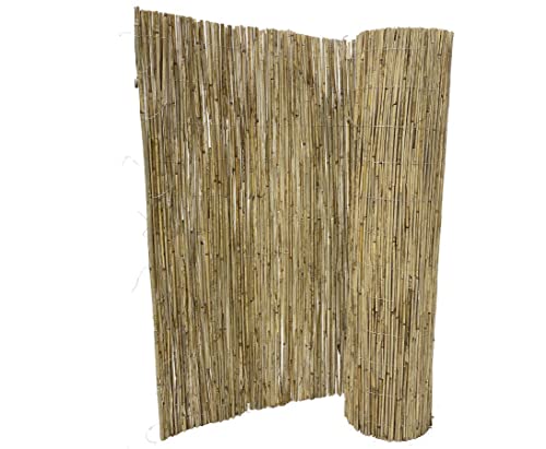 Schilfrohrmatte "bambussi BP" als Sichtschutz mit 100 x 500cm für Garten Terasse Windschutz Matten von bambussi