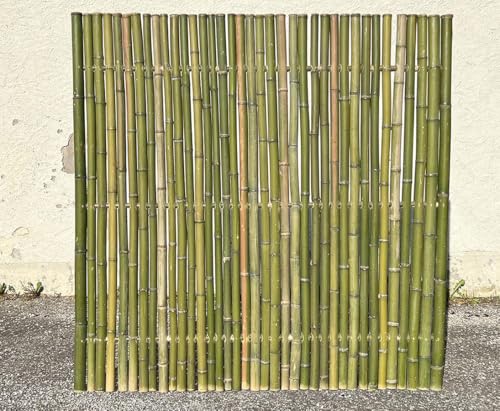 Sichtschutzwand aus naturgrünen Bambus 180x180cm mit Rohren 4-6cm breit von bambussi.com von bambussi