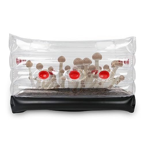 banapoy Pilz-Monowannen-Set, Aufblasbares Pilz-Zelt-Set für Zuhause, Mykologie-Pilz-Zuchtbeutel mit Stopfen, Filtern und Pumpe für Frischluftaustausch von banapoy