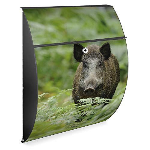 banjado Design Briefkasten - Modell Riviera 46x33,5x13cm groß - verzinkter Stahl anthrazit - Postkasten Öffnungsstopp großer A4 Einwurf Zylinderschloss 2 Schlüssel - Motiv Wildschwein banjado Design Briefkasten - Modell Riviera 46x33,5x13cm groß - verzinkter Stahl anthrazit - Postkasten Öffnungsstopp großer A4 Einwurf Zylinderschloss 2 Schlüssel - Motiv Wildschwein von banjado