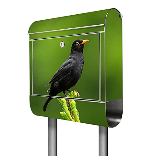 banjado® Briefkasten mit Standfuß Motiv Vogel auf Tannenzweig - Stand Briefkasten Edelstahl mit Zeitungsfach - Postbox/Postkasten A4 Einwurf inkl. Montagematerial & 2 Schlüssel von banjado