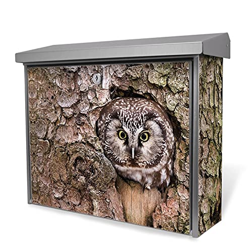 banjado® Burgwächter Briefkasten Edelstahl 38x39x12cm mit Motiv Eule/Briefkasten Edelstahl ohne Zeitungsfach/Briefkasten grau/Postkasten inkl. Montagematerial & 2 Schlüsseln von banjado