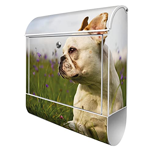 banjado® Design Briefkasten mit Motiv Französische Bulldogge 39x47x14cm & 2 Schlüssel - Briefkasten Stahl weiß mit Zeitungsfach pulverbeschichtet - Postkasten A4 Einwurf inkl. Montagematerial von banjado