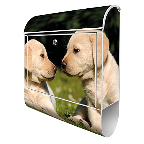 banjado® Design Briefkasten mit Motiv Labrador 39x47x14cm & 2 Schlüssel - Briefkasten Stahl weiß mit Zeitungsfach pulverbeschichtet - Postkasten A4 Einwurf inkl. Montagematerial von banjado