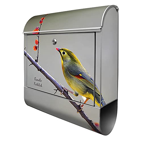 banjado® Design Briefkasten personalisiert mit Motiv Herbst Vogel 39x47x14cm & 2 Schlüssel - Briefkasten Stahl Silber mit Zeitungsfach pulverbeschichtet - Postkasten A4 Einwurf inkl. Montagematerial von banjado