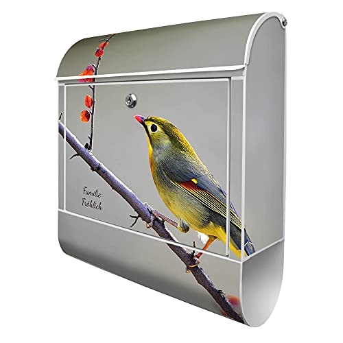 banjado® Design Briefkasten personalisiert mit Motiv Herbst Vogel 39x47x14cm & 2 Schlüssel - Briefkasten Stahl weiß mit Zeitungsfach pulverbeschichtet - Postkasten A4 Einwurf inkl. Montagematerial von banjado
