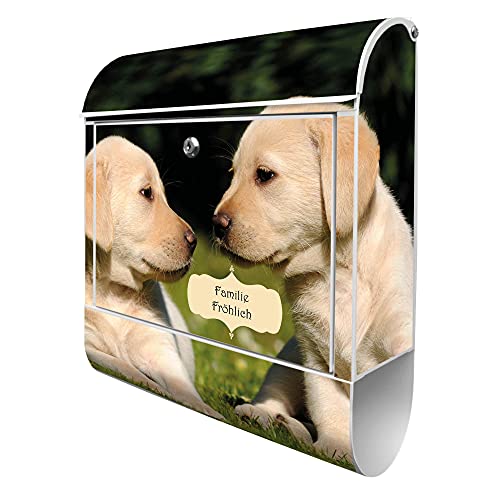 banjado® Design Briefkasten personalisiert mit Motiv Labrador 39x47x14cm & 2 Schlüssel - Briefkasten Stahl weiß mit Zeitungsfach pulverbeschichtet - Postkasten A4 Einwurf inkl. Montagematerial von banjado