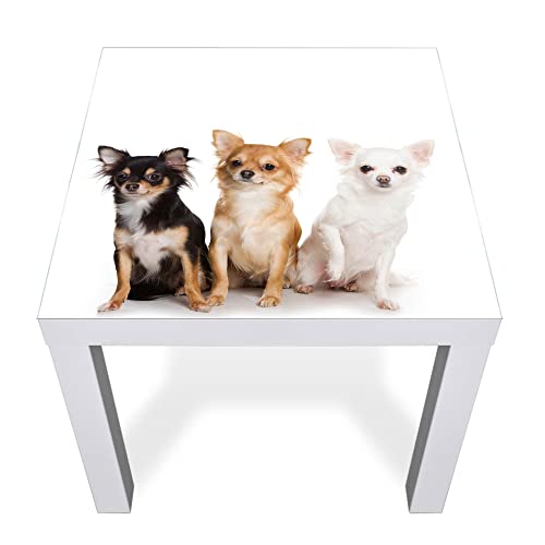 banjado® Glasplatte mit Motiv Chihuahua für Tisch 55 x 55 cm/Tischplatte aus Sicherheitsglas kompatibel mit IKEA Tisch Lack/Tischplatte Glas für Beistelltisch, Couchtisch/Tisch Platte von banjado