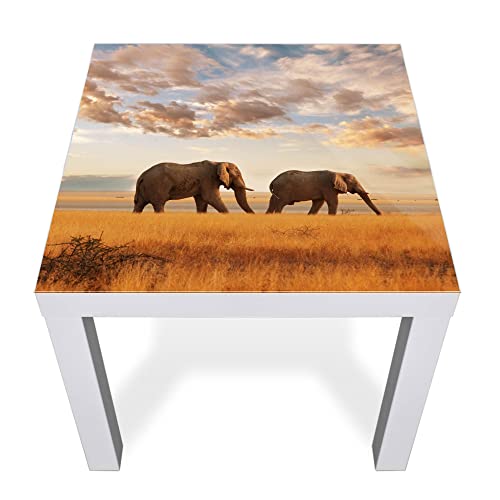 banjado® Glasplatte mit Motiv Elefanten für Tisch 55 x 55 cm/Tischplatte aus Sicherheitsglas kompatibel mit IKEA Tisch Lack/Tischplatte Glas für Beistelltisch, Couchtisch/Tisch Platte von banjado
