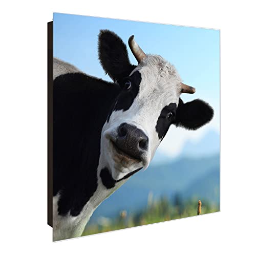 banjado® Großer Schlüsselkasten Glas/Schlüsselbox 30cm x 30cm mit 50 Haken - Motiv Neugierig/Schlüsselkasten modern für Schlüsselaufbewahrung mit beschreibbarer, magnetischer Glastür von banjado