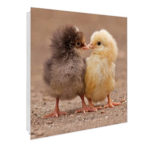 banjado® Großer Schlüsselkasten Glas/Schlüsselbox 30cm x 30cm mit 50 Haken - Motiv Zwei Küken/Schlüsselkasten modern für Schlüsselaufbewahrung mit beschreibbarer, magnetischer Glastür von banjado
