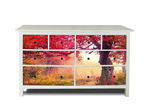 banjado® Möbelfolie selbstklebend für die IKEA Hemnes Kommode Schubladen - Schrankfolien selbstklebend mit Motiv Lichtung Im Herbst/Möbelfolie Hemnes für Kinder von banjado
