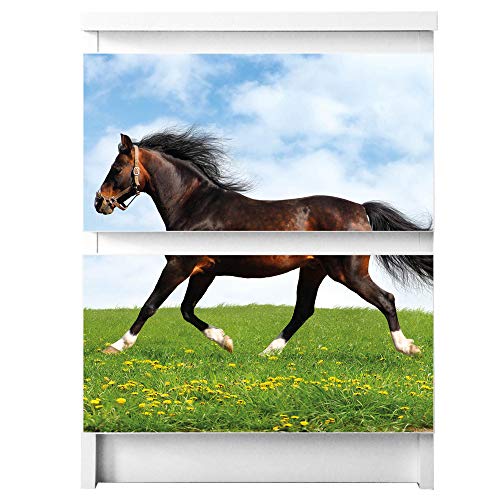 banjado® Möbelfolie selbstklebend für die IKEA Malm Kommode 2 Schubladen - Schrankfolien selbstklebend mit Motiv Pferd/Möbelfolie Malm für Kinder von banjado