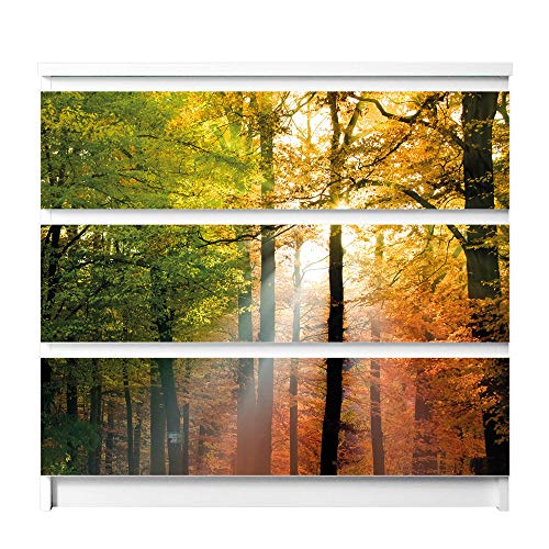 banjado® Möbelfolie selbstklebend für die IKEA Malm Kommode 3 Schubladen - Schrankfolien selbstklebend mit Motiv Herbstwald/Möbelfolie Malm für Kinder von banjado