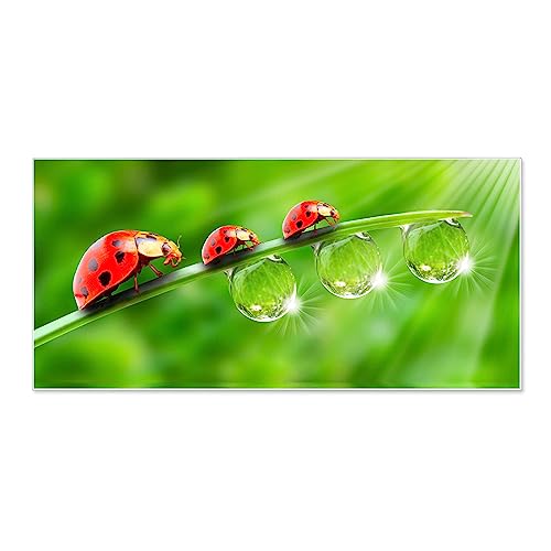 banjado Magnettafel weiß 78 x 37cm / Magnetwand Metall/Magnetpinnwand als Memoboard/Pinnwand Magnettafel Küche, Büro, Kinderzimmer inkl. 4 Magnete & Montageset - Motiv Für Jeden Einen von banjado