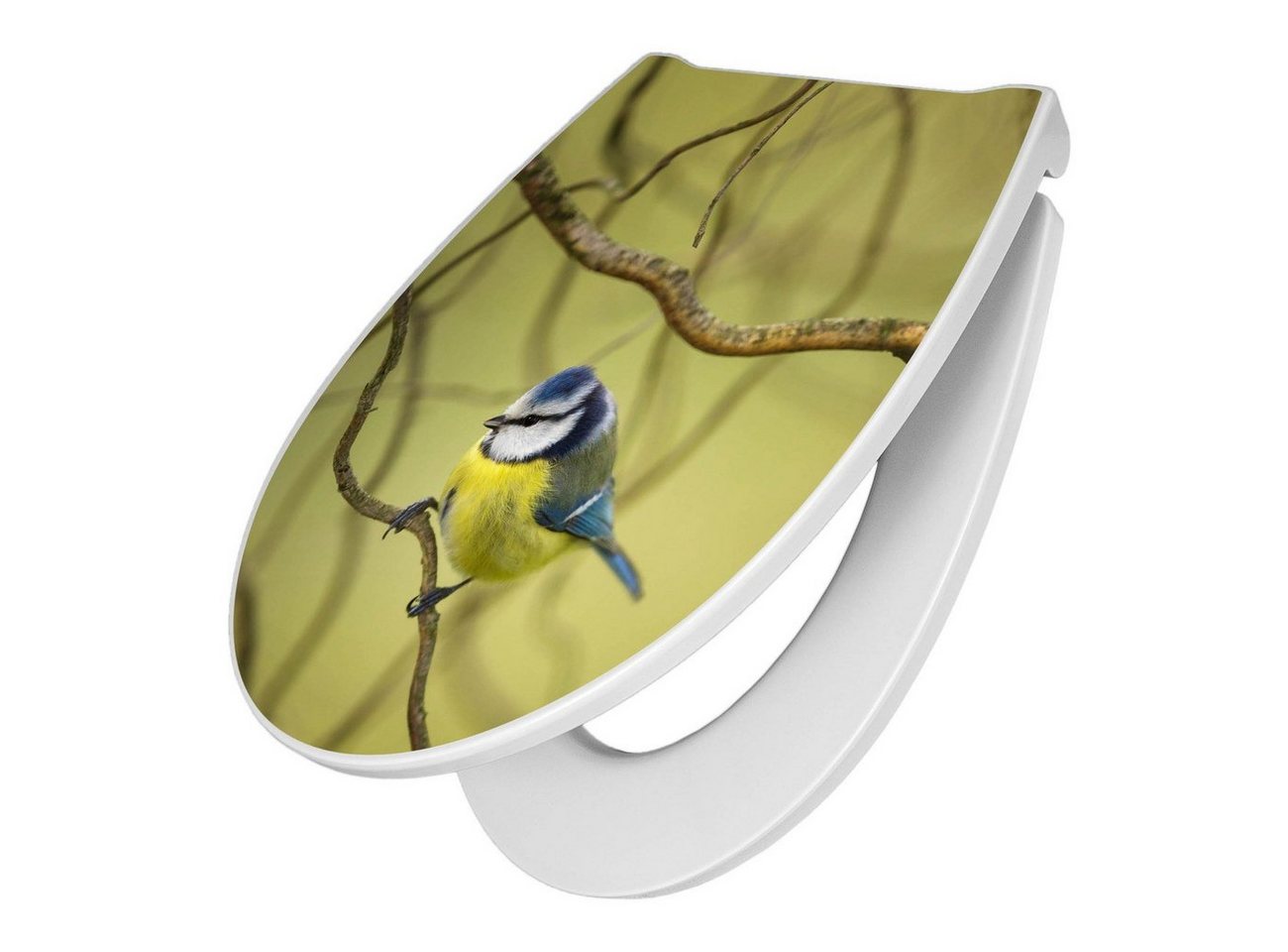 banjado WC-Sitz Motiv Blaumeise im Baum (umweltfreundliches Material & Take-Off Technologie, Softclose Absenkautomatik), 45 x 38,4 x 4,2cm von banjado