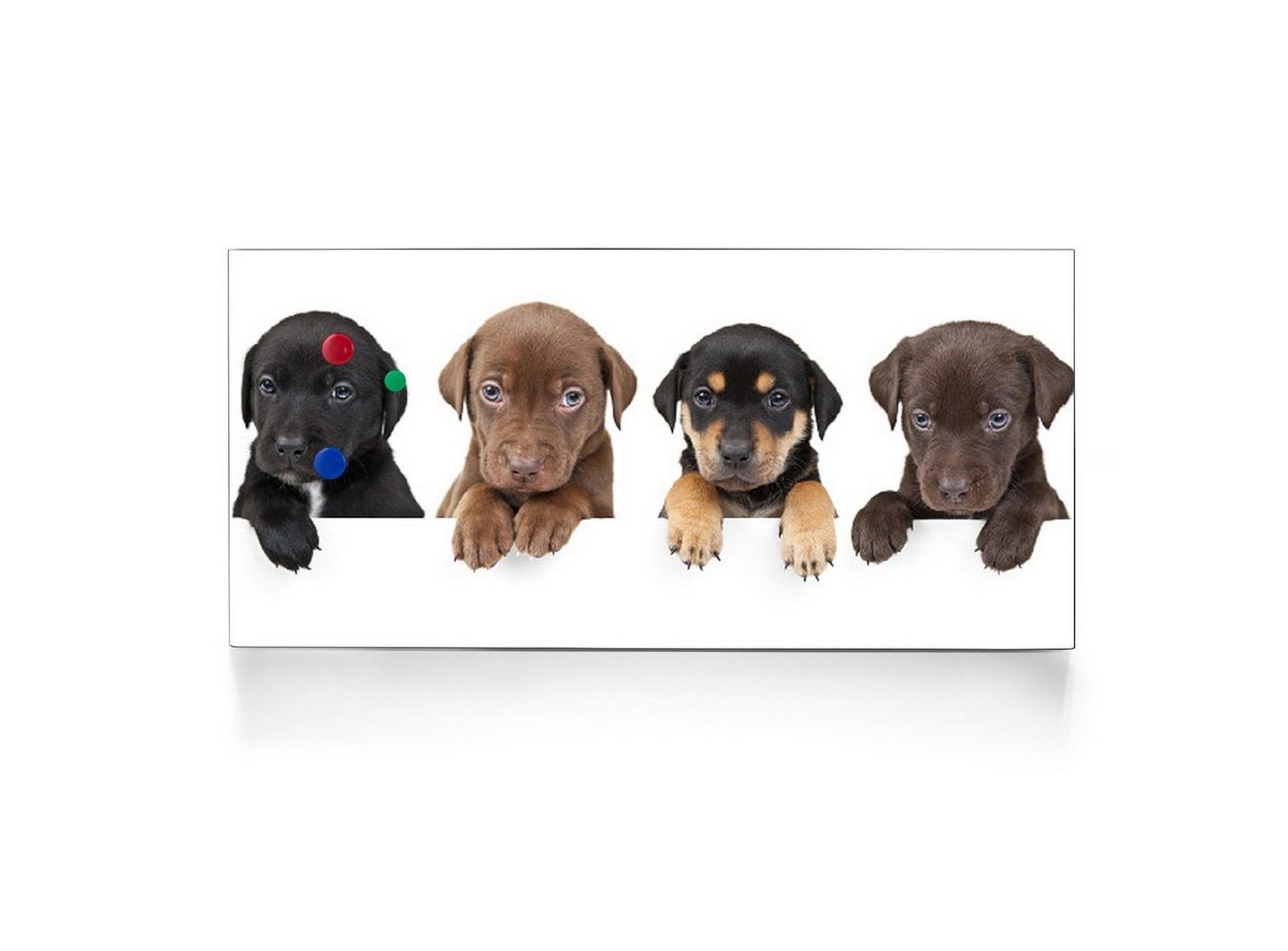 banjado Wandtafel Stahl Puppies, (inkl. 4 Magnete, Stahlmagnettafel) von banjado