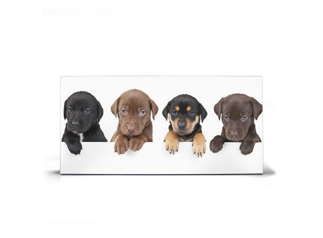 banjado Wandtafel Stahl Puppies, (inkl. 4 Magnete, Stahlmagnettafel) von banjado