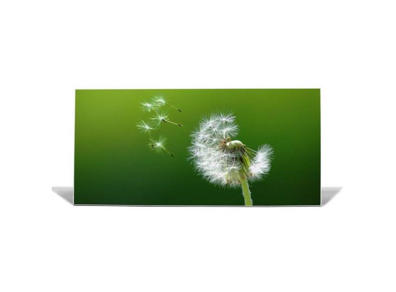 banjado Wandtafel Stahl Pusteblume, (inkl. 4 Magnete, Stahlmagnettafel) von banjado