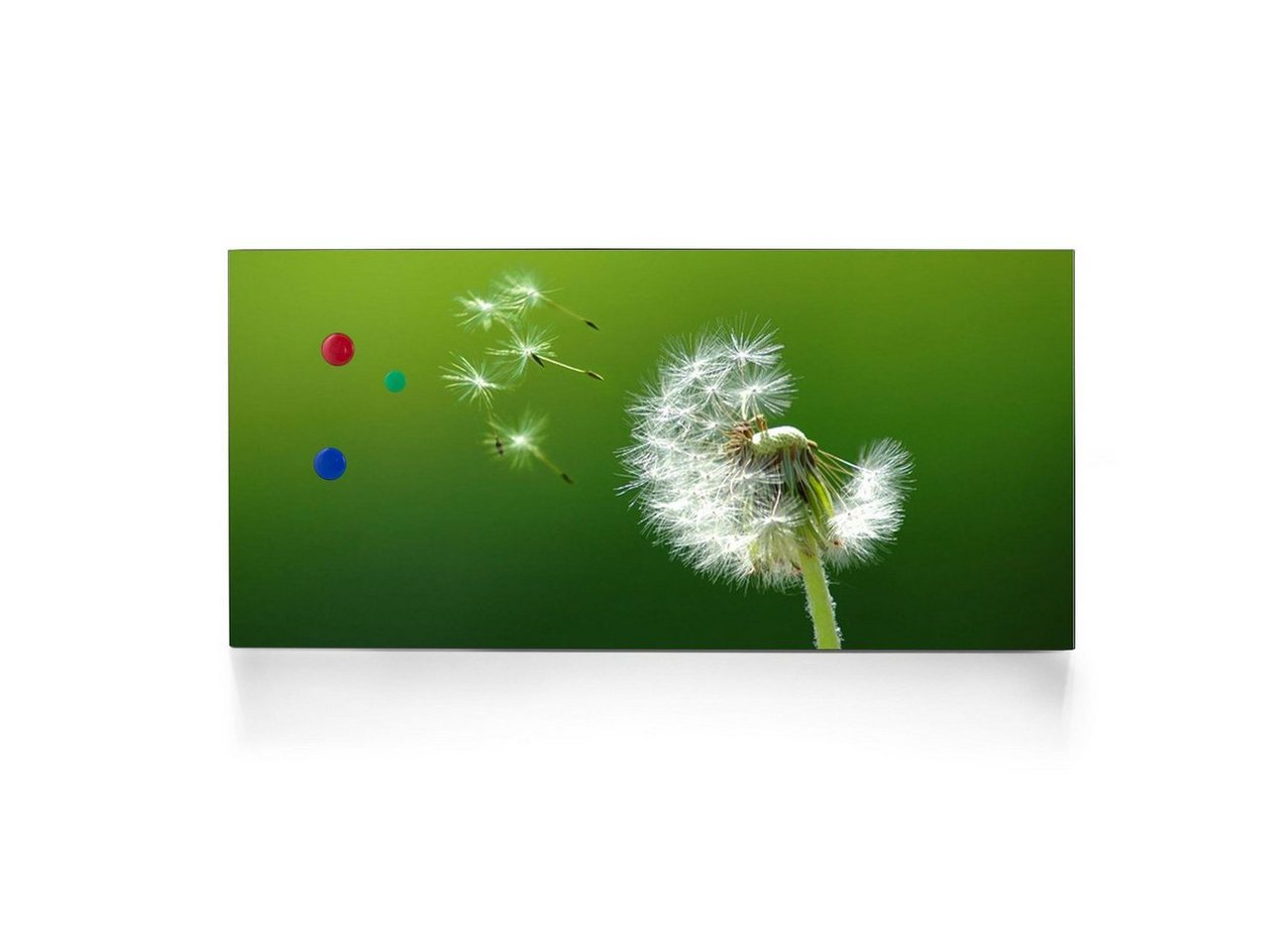 banjado Wandtafel Stahl Pusteblume, (inkl. 4 Magnete, Stahlmagnettafel) von banjado