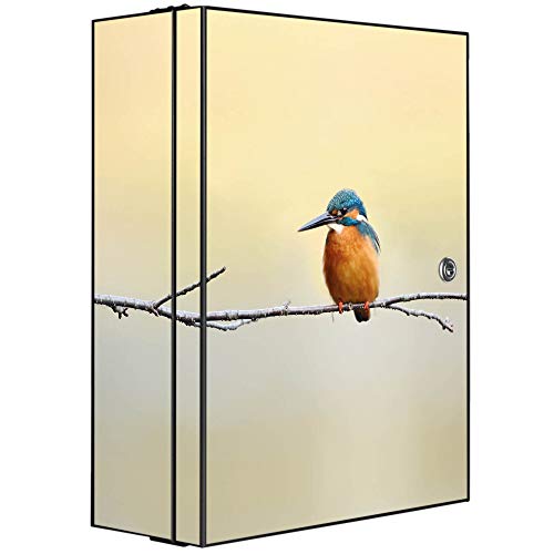 banjado Medizinschrank abschliessbar mit Motiv Pause 35x46x15cm - großer Arzneischrank für die Hausapotheke - Medikamentenschrank aus Metall zur Medikamenten Aufbewahrung von banjado