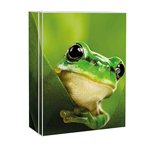 banjado® XXL Medizinschrank abschliessbar mit Motiv Frosch 35x46x15cm - großer Arzneischrank/Medikamentenschrank aus Metall zur Medikamenten Aufbewahrung - Apothekerschrank mit 3 Schlüsseln von banjado