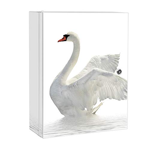 banjado Medizinschrank abschliessbar mit Motiv Schwan 35x46x15cm - großer Arzneischrank für die Hausapotheke - Medikamentenschrank aus Metall zur Medikamenten Aufbewahrung von banjado