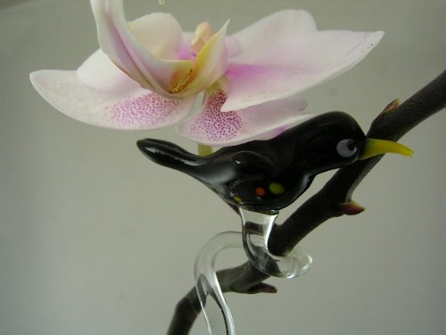 basticks Orchideenstab Amsel Schwarz - Blumenstab mit Vogel Figur aus Glas - Rankhilfe Deko Orchideen Blumen Garten von basticks