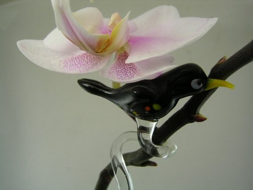 basticks Orchideenstab Amsel Schwarz - Blumenstab mit Vogel Figur aus Glas - Rankhilfe Deko Orchideen Blumen Garten basticks Orchideenstab Amsel Schwarz - Blumenstab mit Vogel Figur aus Glas - Rankhilfe Deko Orchideen Blumen Garten von basticks