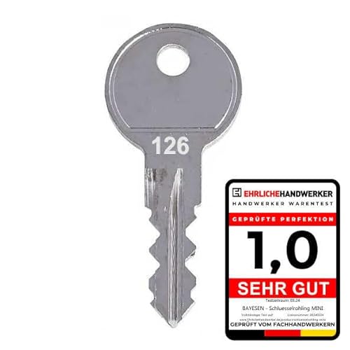Ersatzschlüssel Kompatibel mit MINI Code 038 - Hochwertiger Ersatz Schlüssel für Dachboxe, Skiboxen und Fahrradträger - Schlüsseldienst von bayesen