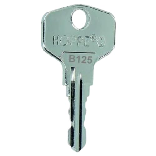 bayesen Ersatzschlüssel Nachschlüssel - Präzise Gefräst & Kompatibel mit BURG-WÄCHTER - Passgenau für Briefkasten, Hebelzylinder, Möbel [Code B017] von bayesen