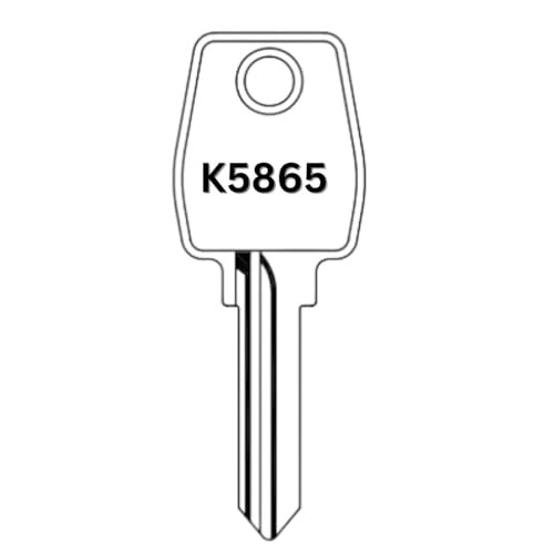 bayesen Ersatzschlüssel passend für Euro-Locks Schlösser (Code K5000 bis K6999) - Nachschlüssel für Möbel, Spindschlösser, Schränke, Schubladen, Briefkästen und Weitere Schlösser [Code K6521] von bayesen