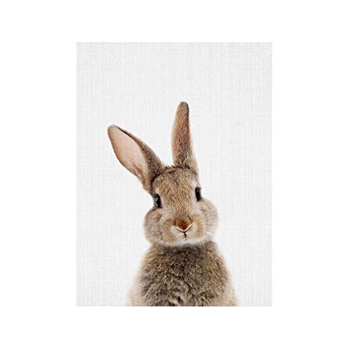 bdrsjdsb Niedlichen Tier Kaninchen Leinwand Poster Kein Rahmen Malerei Kunst Büroraum Cafe Wandbild 1# 30 * 40 cm von bdrsjdsb