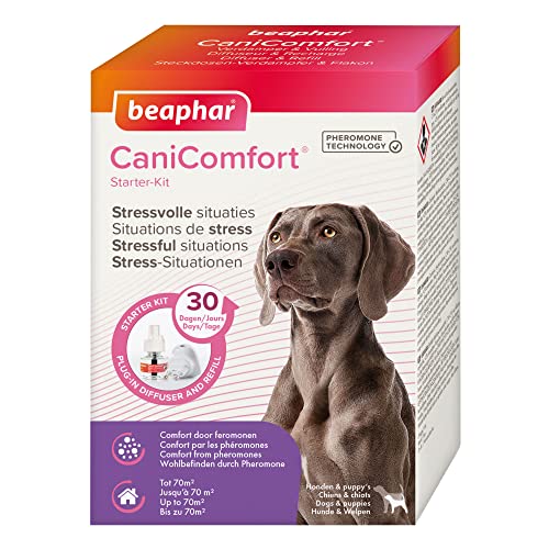 BEAPHAR - CaniComfort® Starter-Kit - Steckdosen-Verdampfer Mit Flakon - Für Hunde Und Welpen - Pheromon-Technologie - Beruhigt In Stress-Situationen - Wirkt 30 Tage - Reicht Für Bis Zu 70 m2 - 48 ml von Beaphar