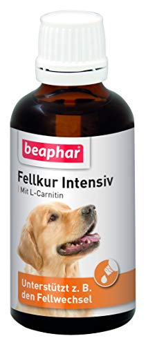 BEAPHAR - Fellkur Intensiv Für Hunde - Haut- Und Fellpflege - Mit Vitaminen B1, B2, B6, B12, E, L-Carnitin - Unterstützt U.A. Den Fellwechsel - 50 ml BEAPHAR - Fellkur Intensiv Für Hunde - Haut- Und Fellpflege - Mit Vitaminen B1, B2, B6, B12, E, L-Carnitin - Unterstützt U.A. Den Fellwechsel - 50 ml von beaphar