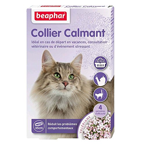 BEAPHAR NO Stress Baldrian Katzenhalsband, beruhigend, reduziert Stress und Verhaltensprobleme ohne Abhängigkeit oder Schläfrigkeit, 1 Halsband, 35 cm, 4 Wochen von Beaphar