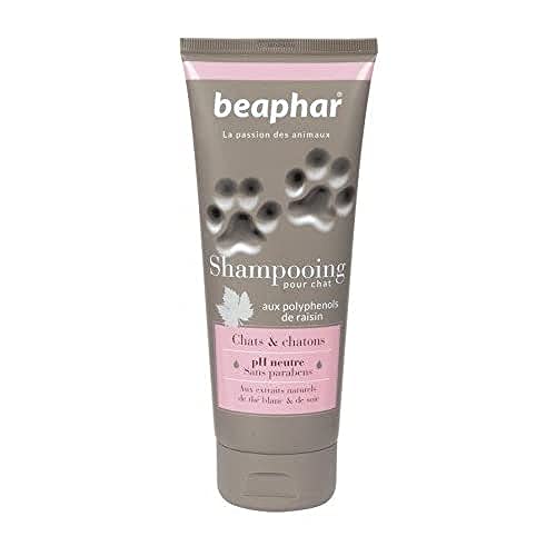 Bayphar Shampoo Hohe kosmetische Katzen und Kätzchen, eine Größe 200 ml 200 ml Bayphar Shampoo Hohe kosmetische Katzen und Kätzchen, eine Größe 200 ml 200 ml von Beaphar